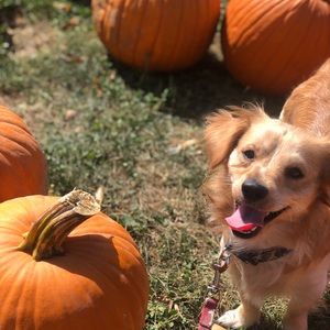 Meet your Posher, Madison